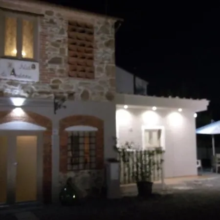 Il Nido Di Andrea Capannori